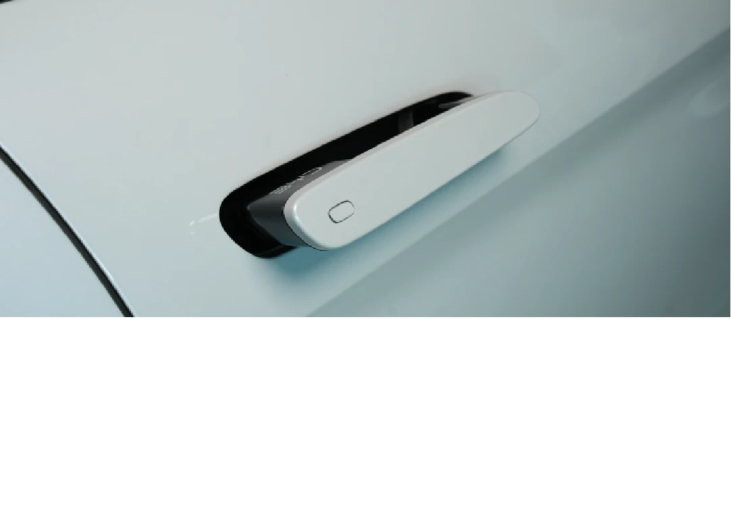 Eksterior byd-sealion-7