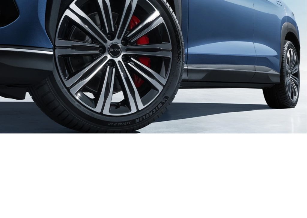 Eksterior byd-sealion-7