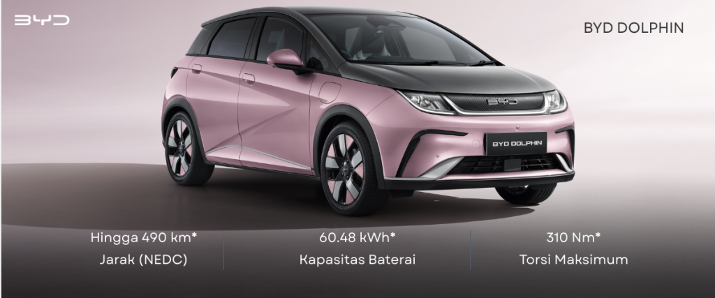 spesifikasi baterai byd dolphin