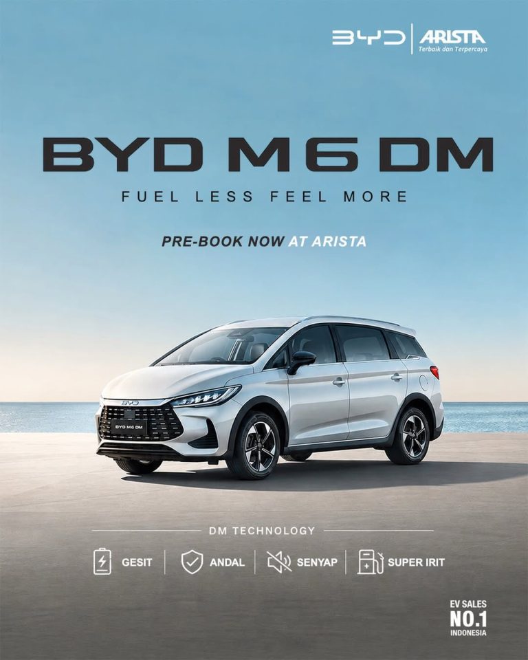 byd m6